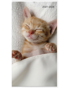 2027-2028 Cuddly Kittens (Bilingual French) Pocket Planner