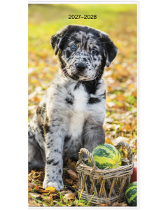 2027-2028 Puppies (Bilingual French) Pocket Planner