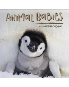 2027 Animal Babies Wall Calendar