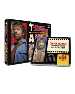 2027 Chuck Norris Day-at-a-Time Calendar