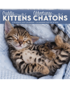2027 Cuddly Kittens (Bilingual French) Wall Calendar