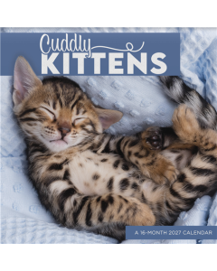 2027 Cuddly Kittens Wall Calendar