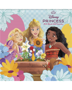 2027 Disney Princess Mini Calendar