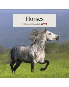 2027 Horses Wall Calendar
