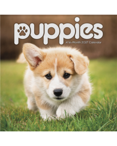 2027 Puppies Wall Calendar