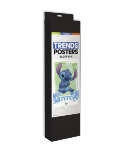 10 Count Black Poster Display