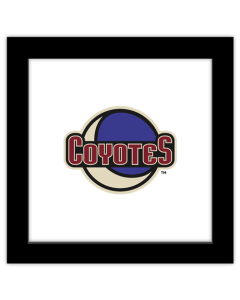 Gallery Pops NHL Arizona Coyotes - Secondary Logo Mark Wall Art