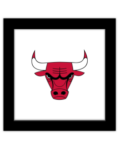Gallery Pops NBA Chicago Bulls - Primary Logo Wall Art