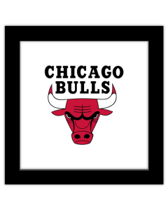 Gallery Pops NBA Chicago Bulls - Global Logo Wall Art