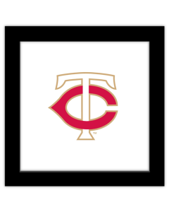 Gallery Pops MLB Minnesota Twins - Alternate Cap Logo Wall Art