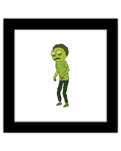 Gallery Pops Cartoon Network Rick and Morty - Toxic Morty Wall Art