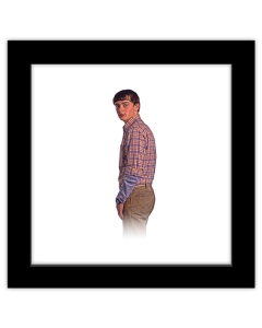 Gallery Pops Netflix Stranger Things: Season 4 - Will Byers Wall Art