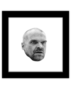 Gallery Pops Netflix Stranger Things: Season 4 - Jim Hopper Head Wall Art