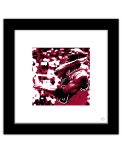 Gallery Pops Michael Jordan - Passion Wall Art
