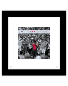 Gallery Pops Tiger Woods - The Tiger Effect Wall Art