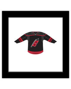 Gallery Pops NHL - Carolina Hurricanes - Home Uniform Front Wall Art