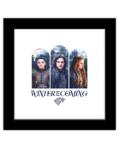 Gallery Pops Game of Thrones - Winter Is Coming Wall Art