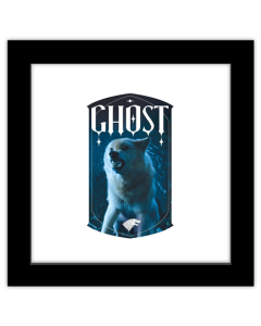 Gallery Pops Game of Thrones - Ghost Wall Art