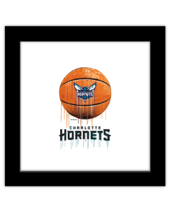 Gallery Pops NBA Charlotte Hornets - Drip Basketball Wall Art