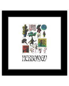 Gallery Pops Harry Potter - Potions and Spells Herbology Wall Art