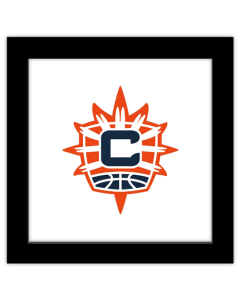 Gallery Pops WNBA Connecticut Sun - Primary Logo Wall Art