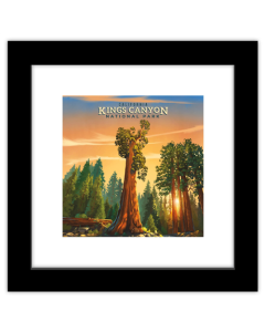Gallery Pops Lantern Press - Kings Canyon National Park California Wall Art