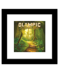 Gallery Pops Lantern Press - Olympic National Park Washington Wall Art