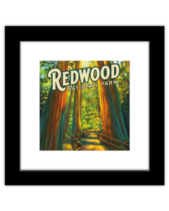 Gallery Pops Lantern Press - Redwood National Park California Wall Art