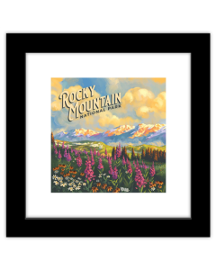 Gallery Pops Lantern Press - Rocky Mountain National Park Colorado Wall Art