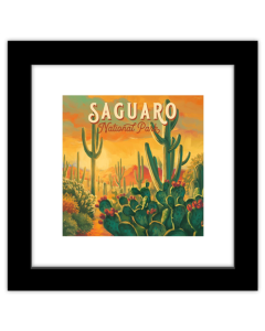 Gallery Pops Lantern Press - Saguaro National Park Arizona Wall Art