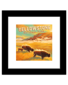 Gallery Pops Lantern Press - Yellowstone National Park - Bison Family Wall Art