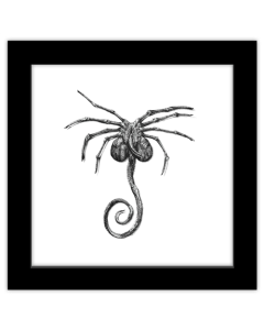 Gallery Pops Alien - Facehugger Sketch Wall Art