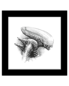 Gallery Pops Alien - Xenomorph Sketch Wall Art