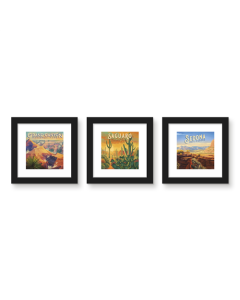 Gallery Pops Lantern Press - Arizona National Parks Wall Art Bundle (3-Pack)