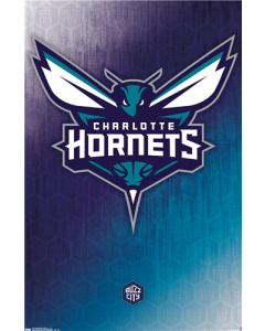 NBA Charlotte Hornets - Logo 14