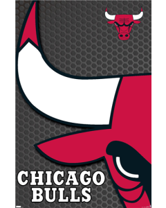 NBA Chicago Bulls - Logo 14