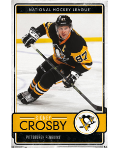 NHL Pittsburgh Penguins - Sidney Crosby 16