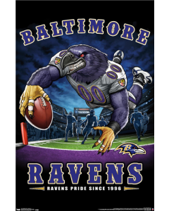 NFL Baltimore Ravens - End Zone 17