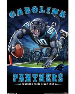 NFL Carolina Panthers - End Zone 17