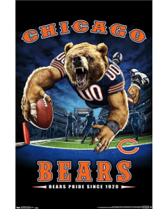 NFL Chicago Bears - End Zone 17