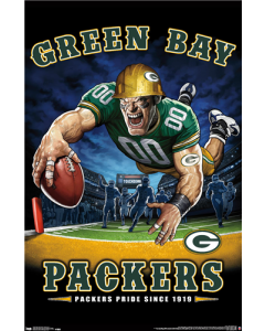 NFL Green Bay Packers - End Zone 17