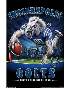 NFL Indianapolis Colts - End Zone 17