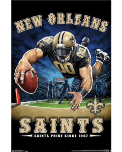 NFL New Orleans Saints - End Zone 17