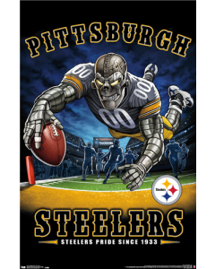 NFL Pittsburgh Steelers - End Zone 17
