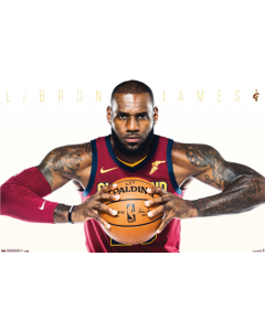 NBA Cleveland Cavaliers - Lebron James 17