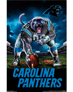 NFL Carolina Panthers - 3 Point Stance 19