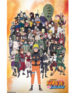 Naruto Shippuden - Group