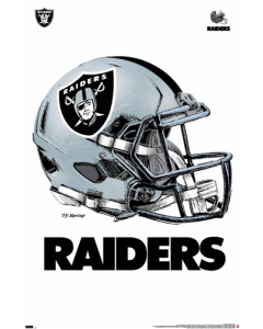 NFL Las Vegas Raiders - Drip Helmet 20
