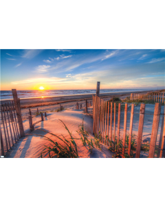 Scenery - Boardwalk