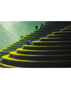 Wonders of the World - Terraced Rice Fields